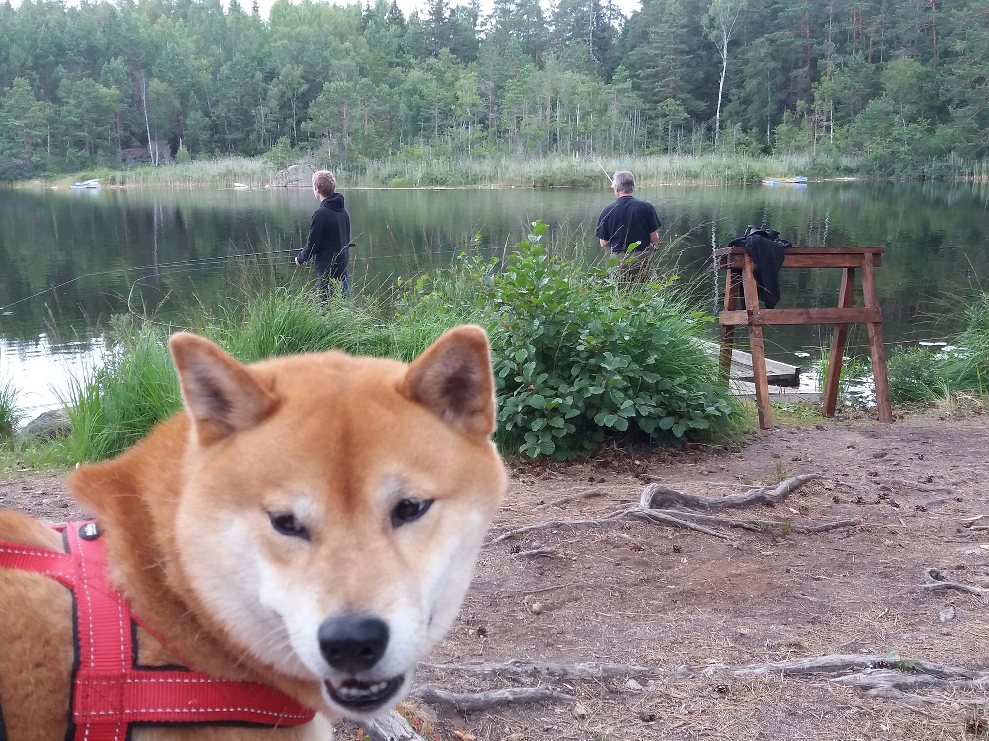 Fiskeresa-med-familjen
